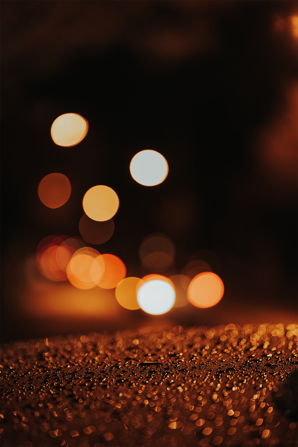 DSC01829.png