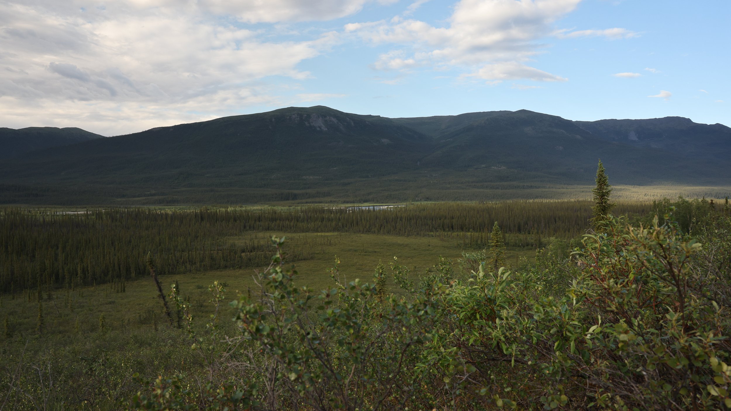 195A4254.jpg
