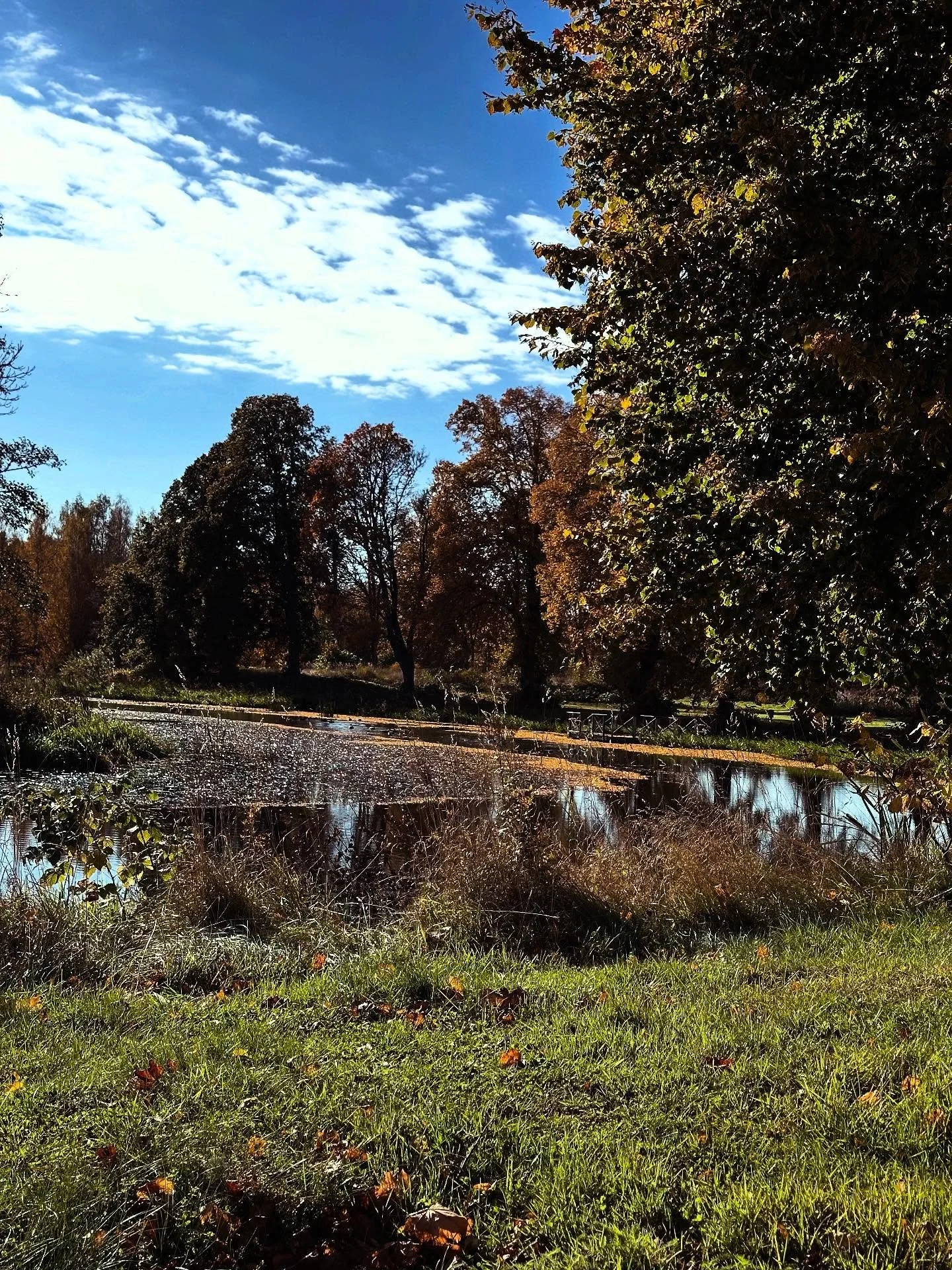 Fin h&ouml;stdag idag vi har &ouml;ppet som vanligt den h&auml;r veckan. Onsdag-s&ouml;ndag 11-16
Kom f&ouml;rbi och njut av h&ouml;st solen 🍂 🍁