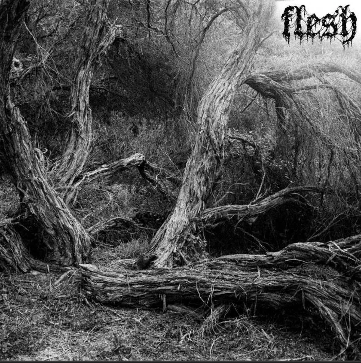 Second @slowcutband release now out in the world.
Love making music with my boys. Some photos of the mischief we get up to in the studio.
So proud of these tracks. flesh out now.