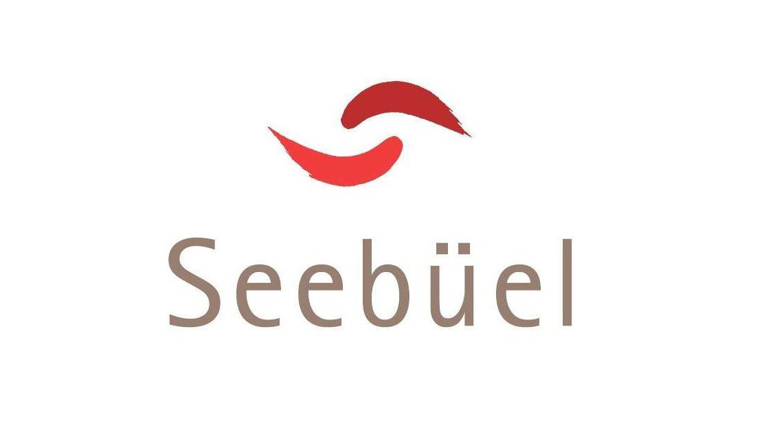 Logo mit roten und braunen geschwungenen Linien über dem Schriftzug 'Sebüel' auf weißem Hintergrund.