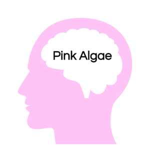 IMG_4137.PNG