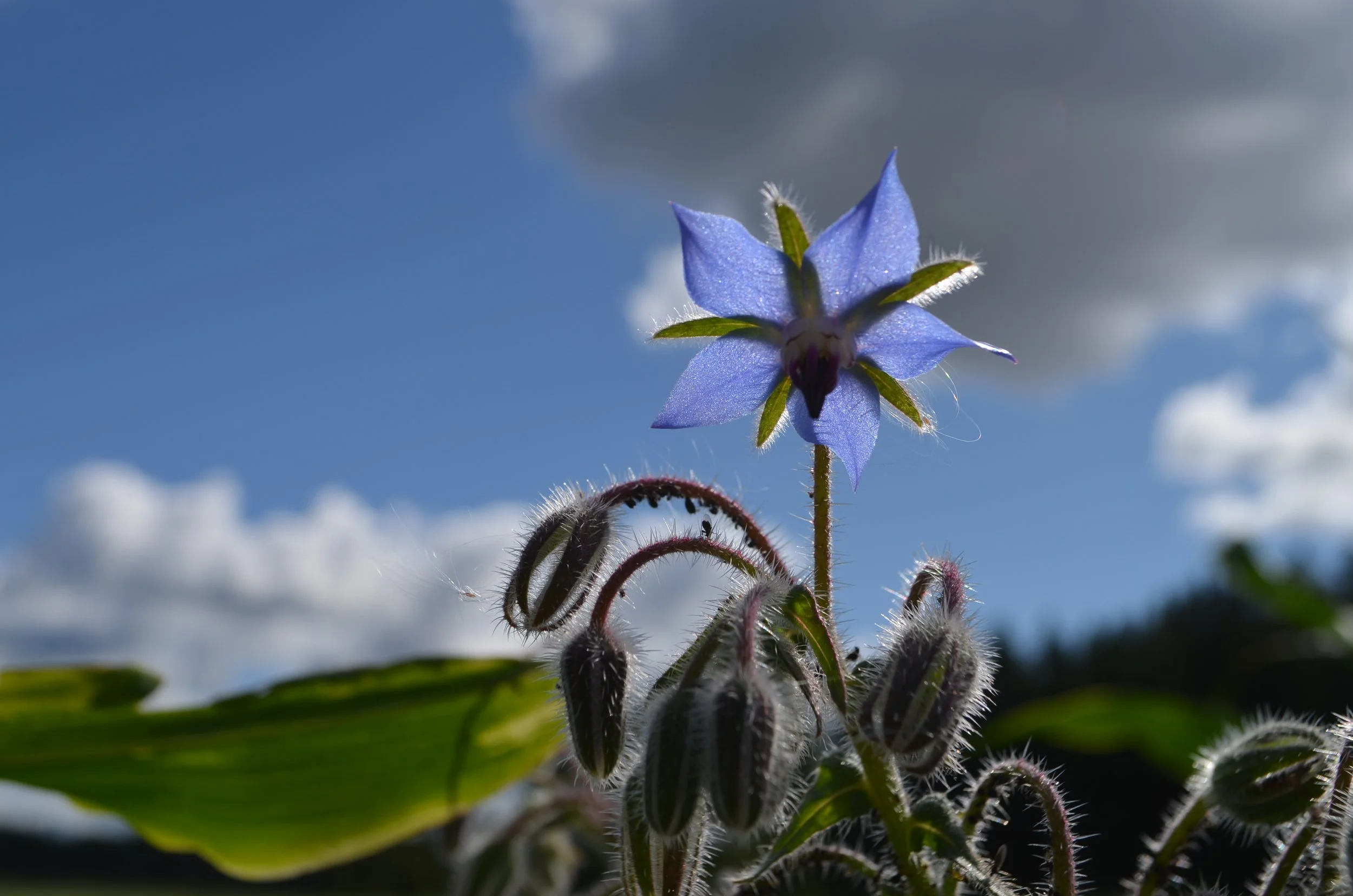 Kestävän ja kivan elämän työpajan Sovari-kyselyn tulokset 2025