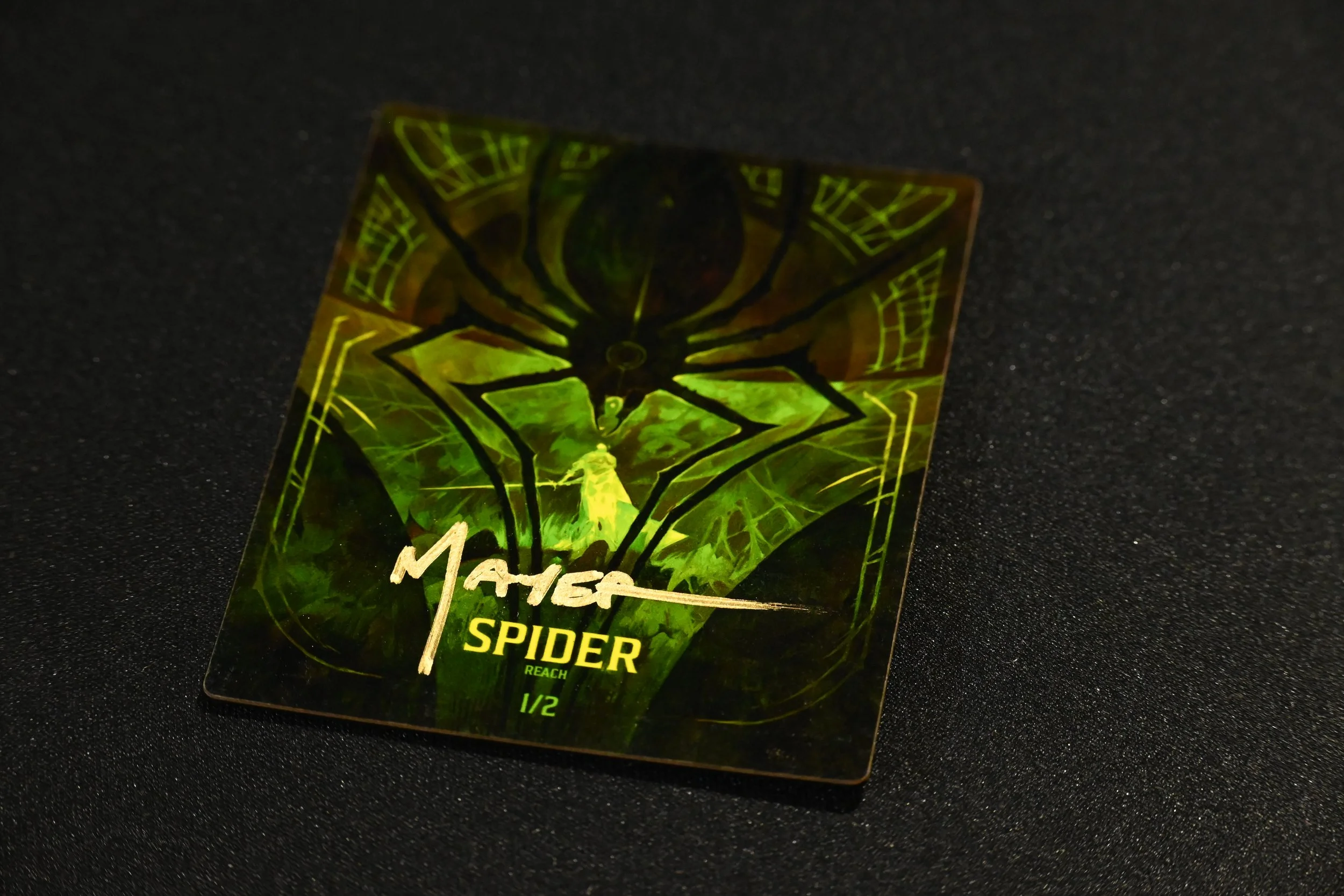 Spider.JPG