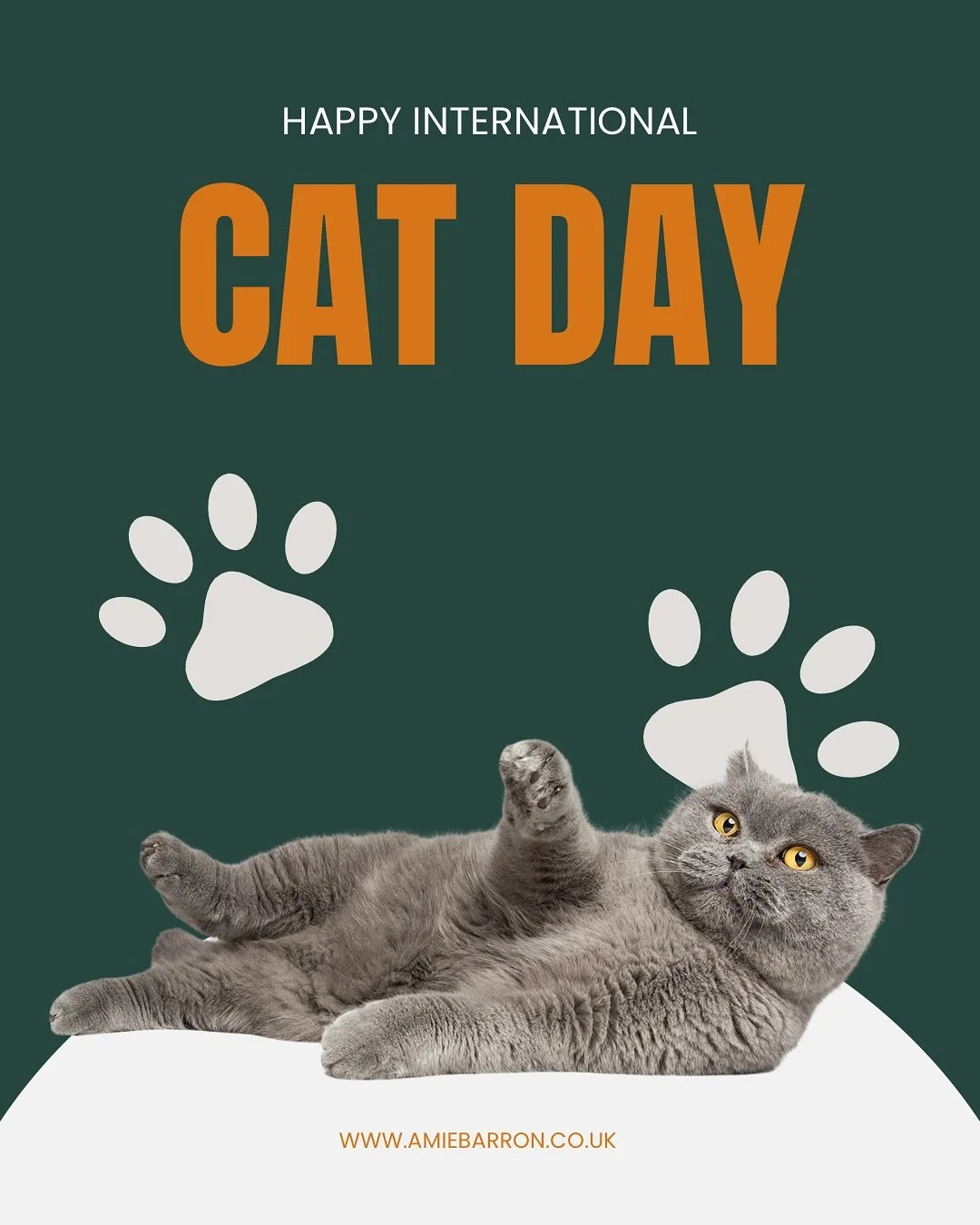 🐱 It’s International Cat Day! And while I don’t get to photograph cats as often as dogs, when I do, I absolutely love it.
You’ll still mostly see dogs around here, of course, but I wanted to post something to celebrate our feline