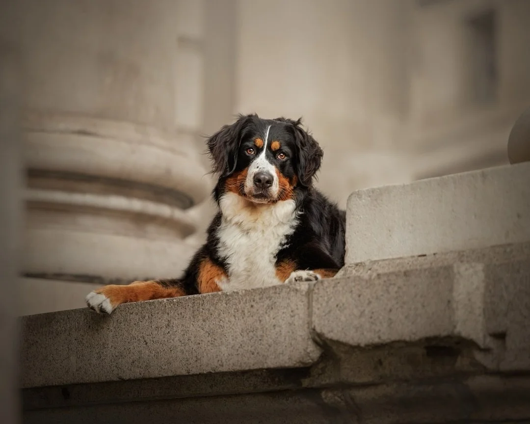 My love of traditional street photography first drew me here many years ago. I was fascinated by the energy of people rushing through these same spaces, and the way light interacts with the architecture as they move through puddles of light and shado