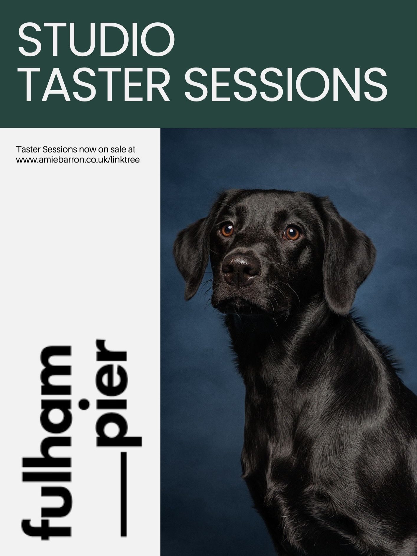 Studio dog portraits at Fulham Pier 🐾

This January, I&rsquo;m hosting a small studio pop-up at Fulham Pier -  a chance to be introduced to my studio work without committing to a full private session.

These are studio taster sessions: shorter, thou