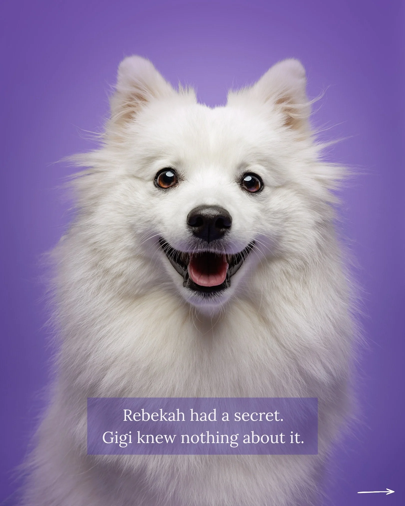 Rebekah had a big secret. Gigi knew nothing about it.

Which was fine, because Gigi was entirely focused on the snacks, anyway.

Rebekah came to me looking for a London dog photographer who could do one specific thing: capture joy. 

Gigi - a one yea
