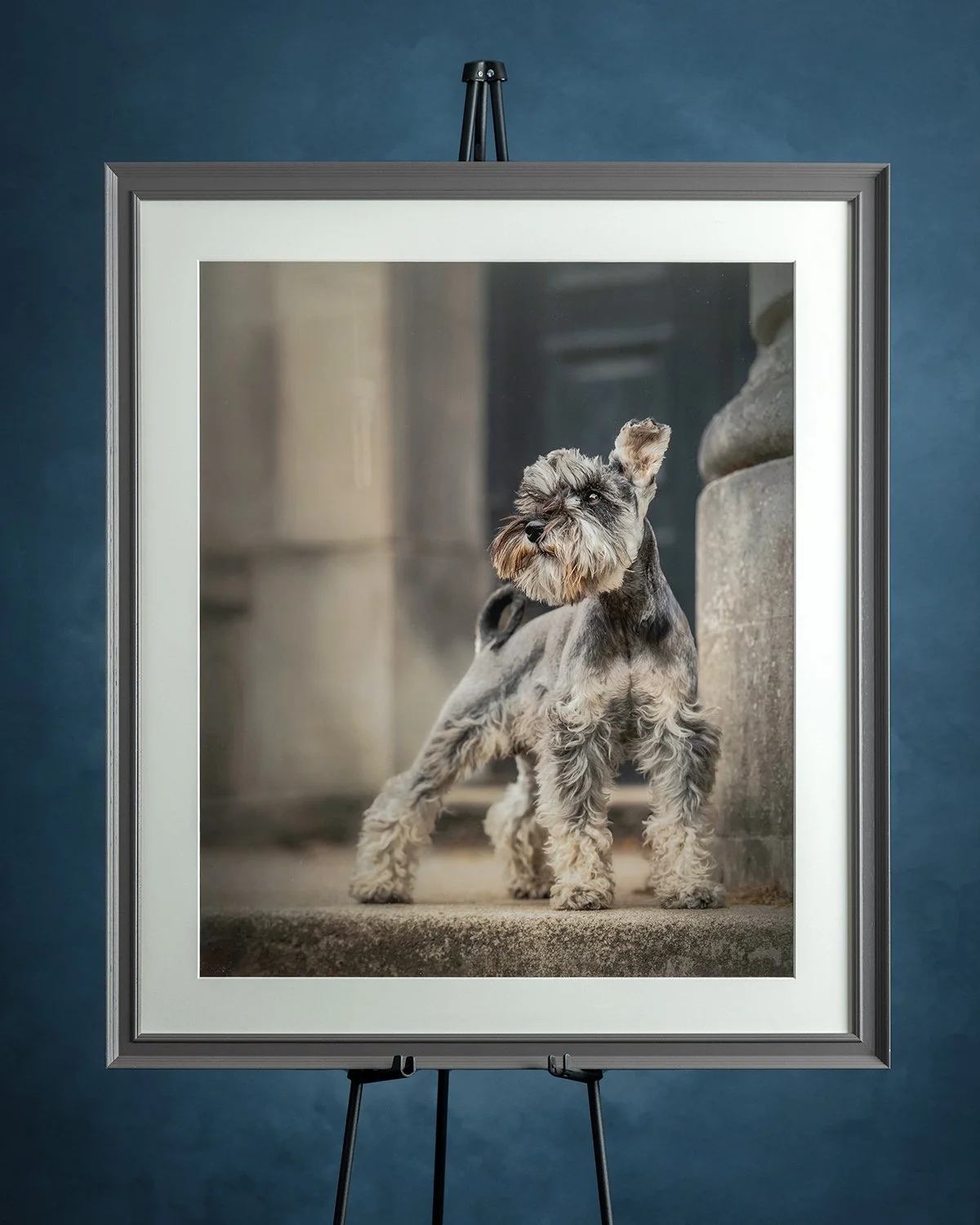 Amie Barron Dog Photography London Classic Frame 4x5.jpg