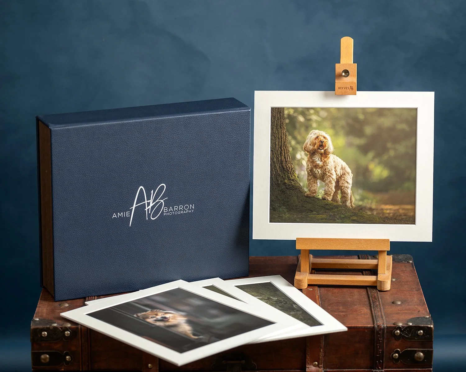 Amie Barron Dog Photography London Print Box.jpg