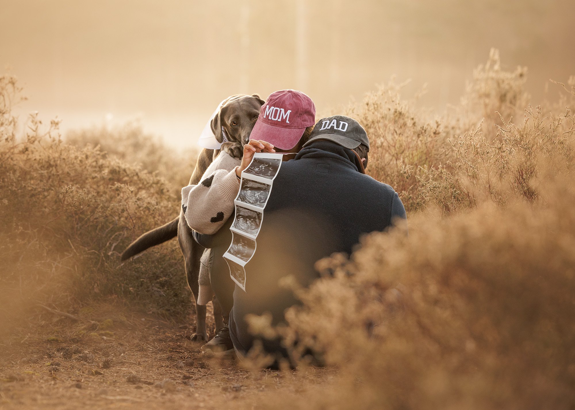 A person in a black hoodie and gray cap with 'DAD' embroidered on it is kneeling and holding a sonogram picture, with a Labrador and a woman wearing a red cap with 'MOM' embroidered on it, in an outdoor setting with golden sunlight and dry bushes.