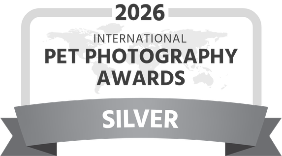 IPPA-2026-award-silver-dark.png