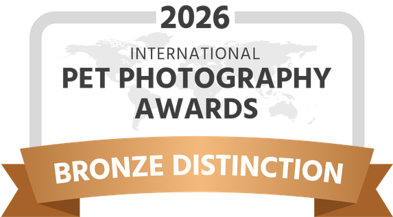 IPPA-2026-award-bronze-distinction-dark.png