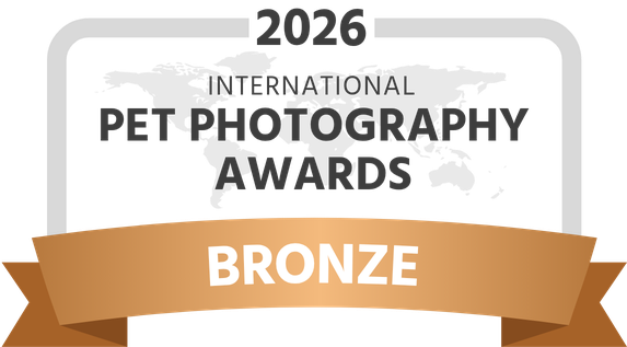 IPPA-2026-award-bronze-dark.png