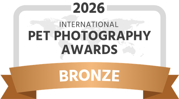 IPPA-2026-award-bronze-dark.png