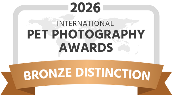 IPPA-2026-award-bronze-distinction-dark.png