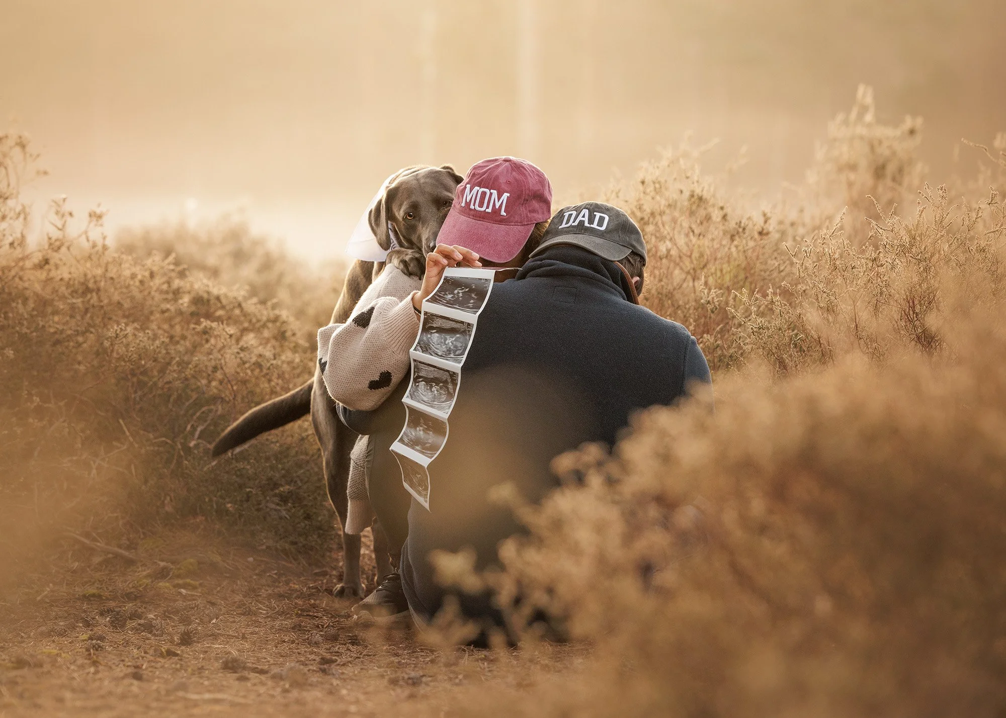 Two people crouching down in tall grass, holding ultrasound images, with a labrador dog, wearing a hat labelled 'MOM' and 'DAD' beside them. The scene is bathed in warm, golden sunlight in Esher Common.