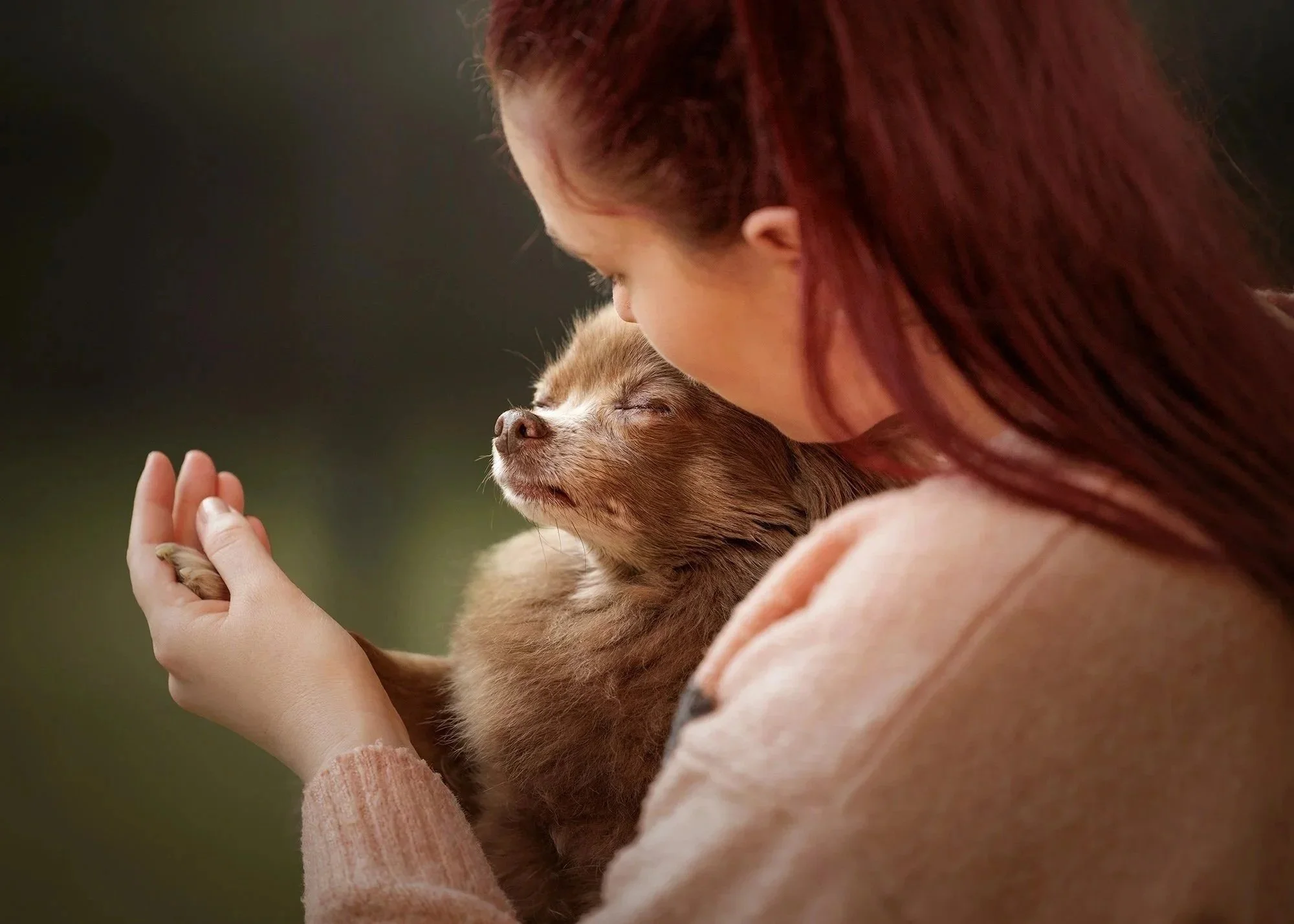 image of a redheaded woman holding the paw of her chihuahua who has his eyes closed in contentment taken by london dog photographer amie barron