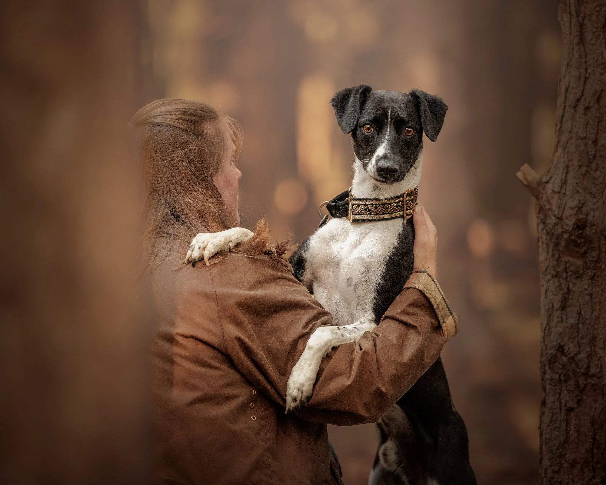 a woman hugging her black and white whippet cross dog while he looks over her shoulder in black country park taken by london dog photographer amie barron