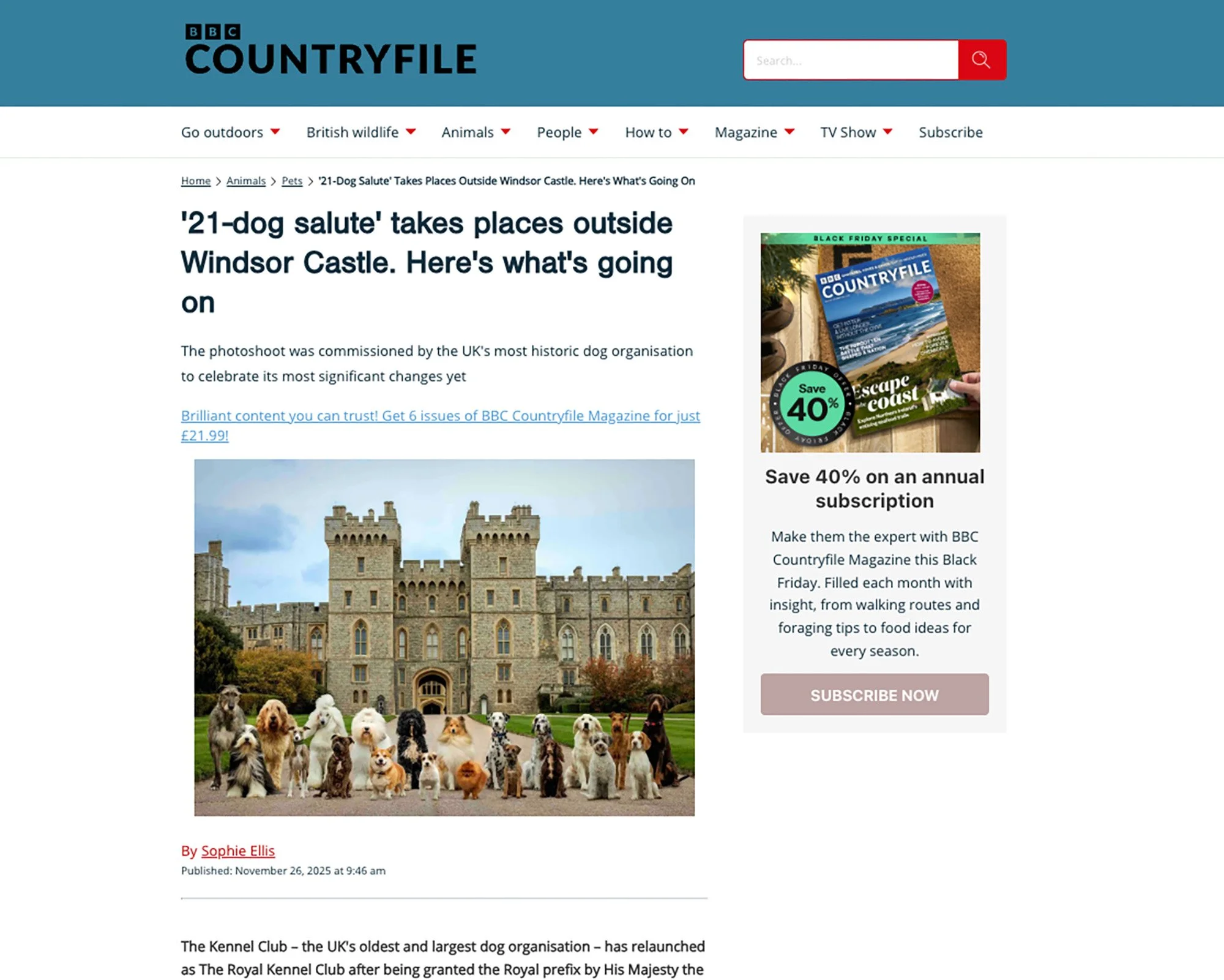 click to read full article