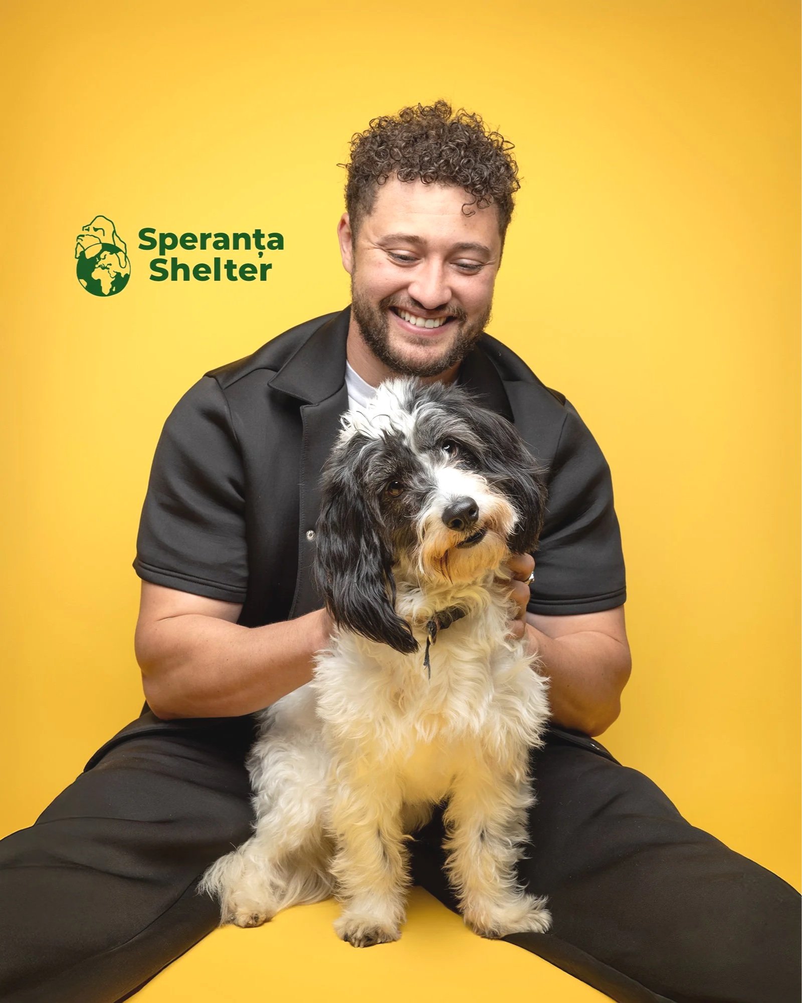 Myles Stephenson and his dog on a bright yellow studio background at love my human townhouse in chelsea at an event to raise awareness for speranta shelter by london dog photographer amie barron