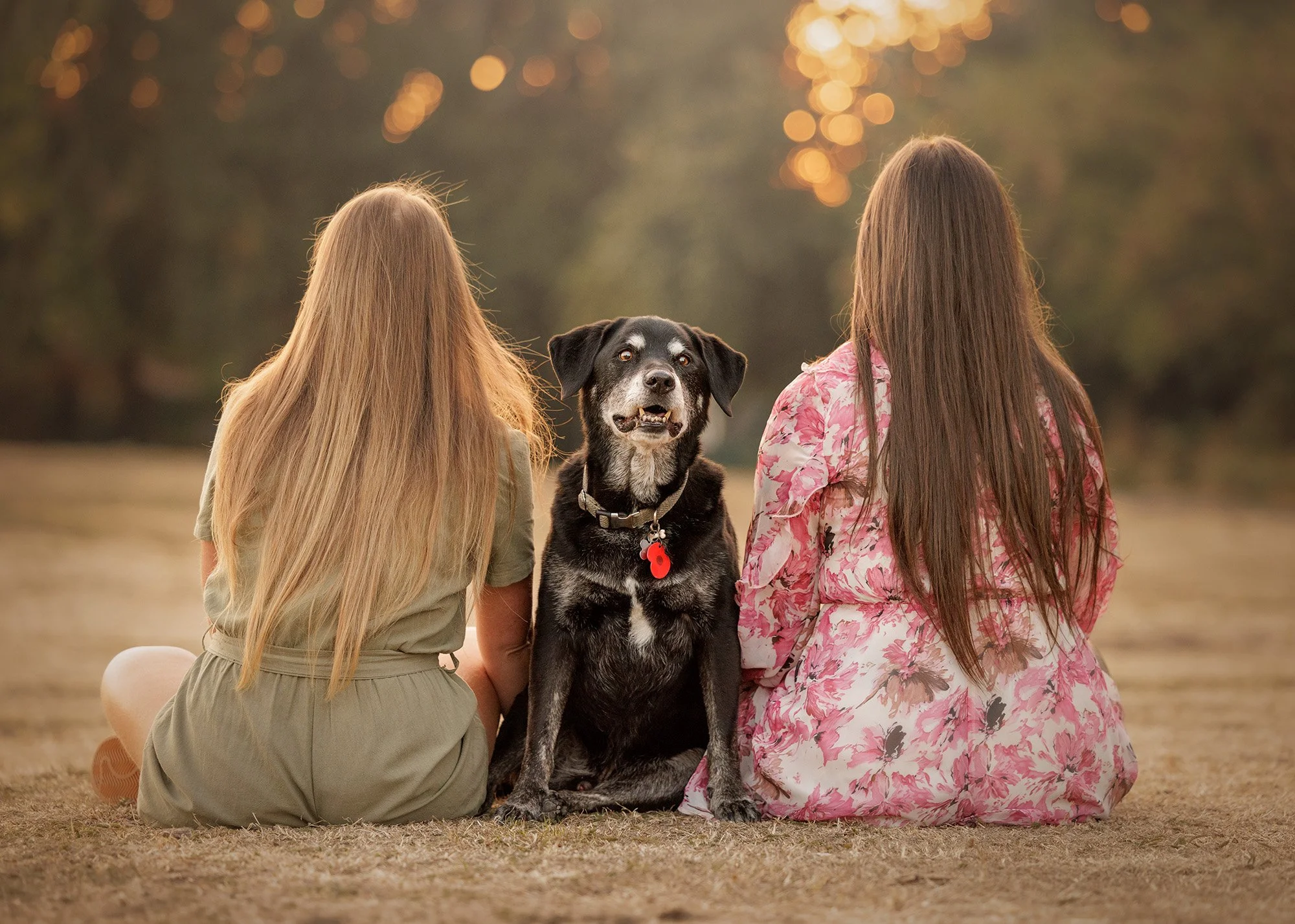 a senior lab mix dog sitting facing the camera while his human sisters sit facing away from it in golden sunset light in an image taken by london pet photographer amie barron