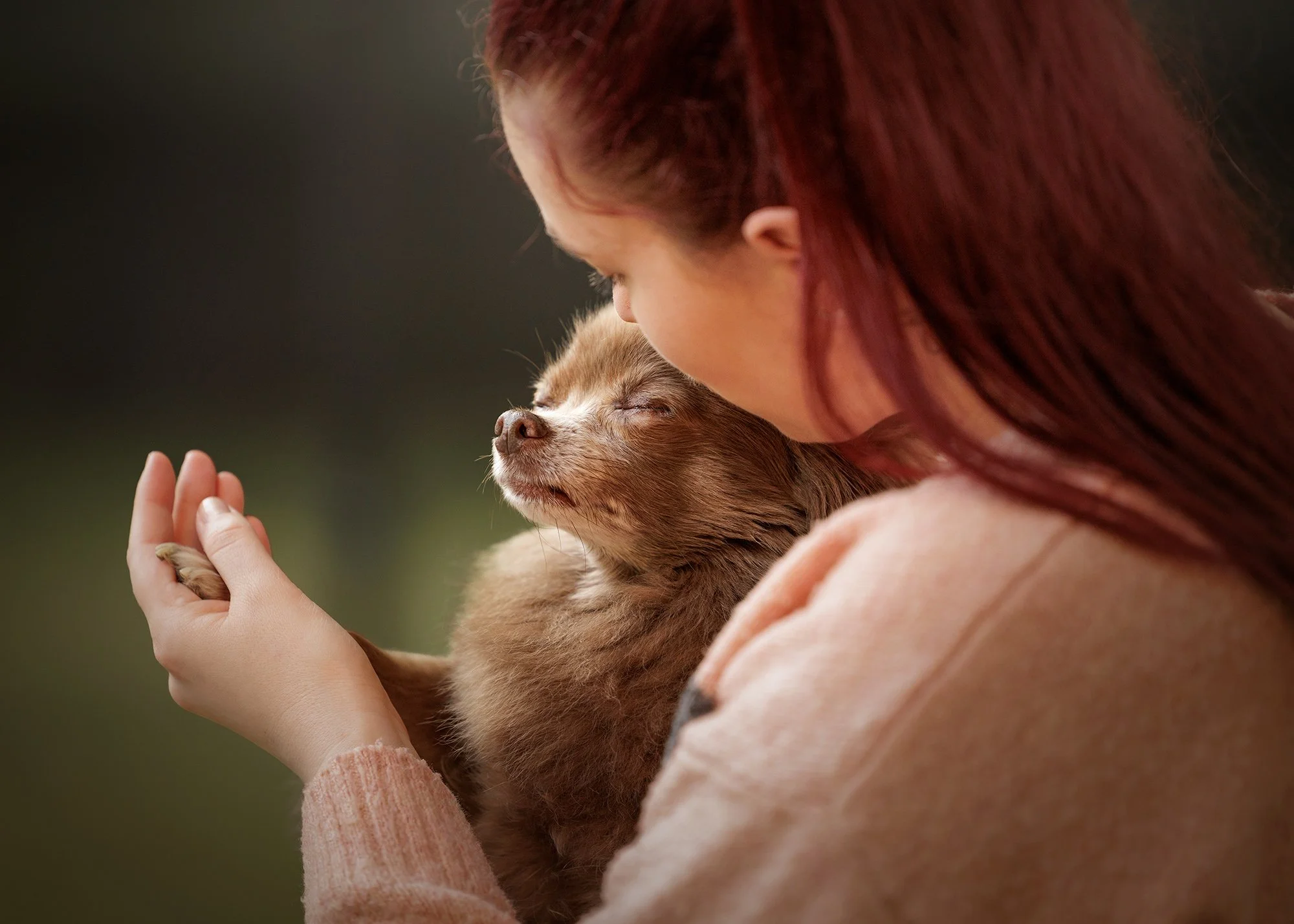 A person with red hair holding a small brown chihuahua affectionately, with the dog's eyes closed and appearing relaxed. Photo taken by London Dog Photographer Amie Barron