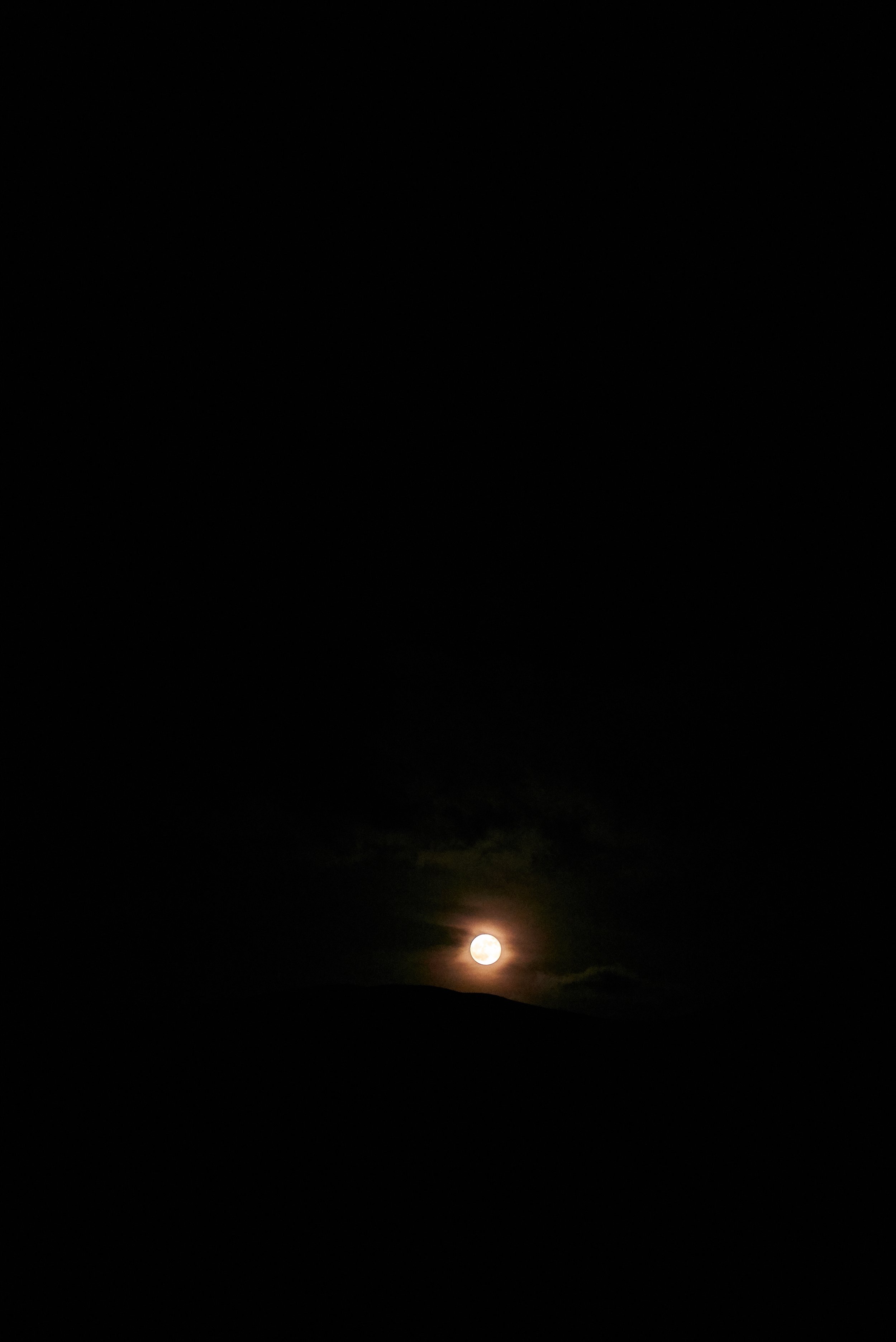 DSC03073.jpg