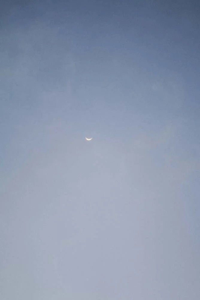 DSC08917.jpg