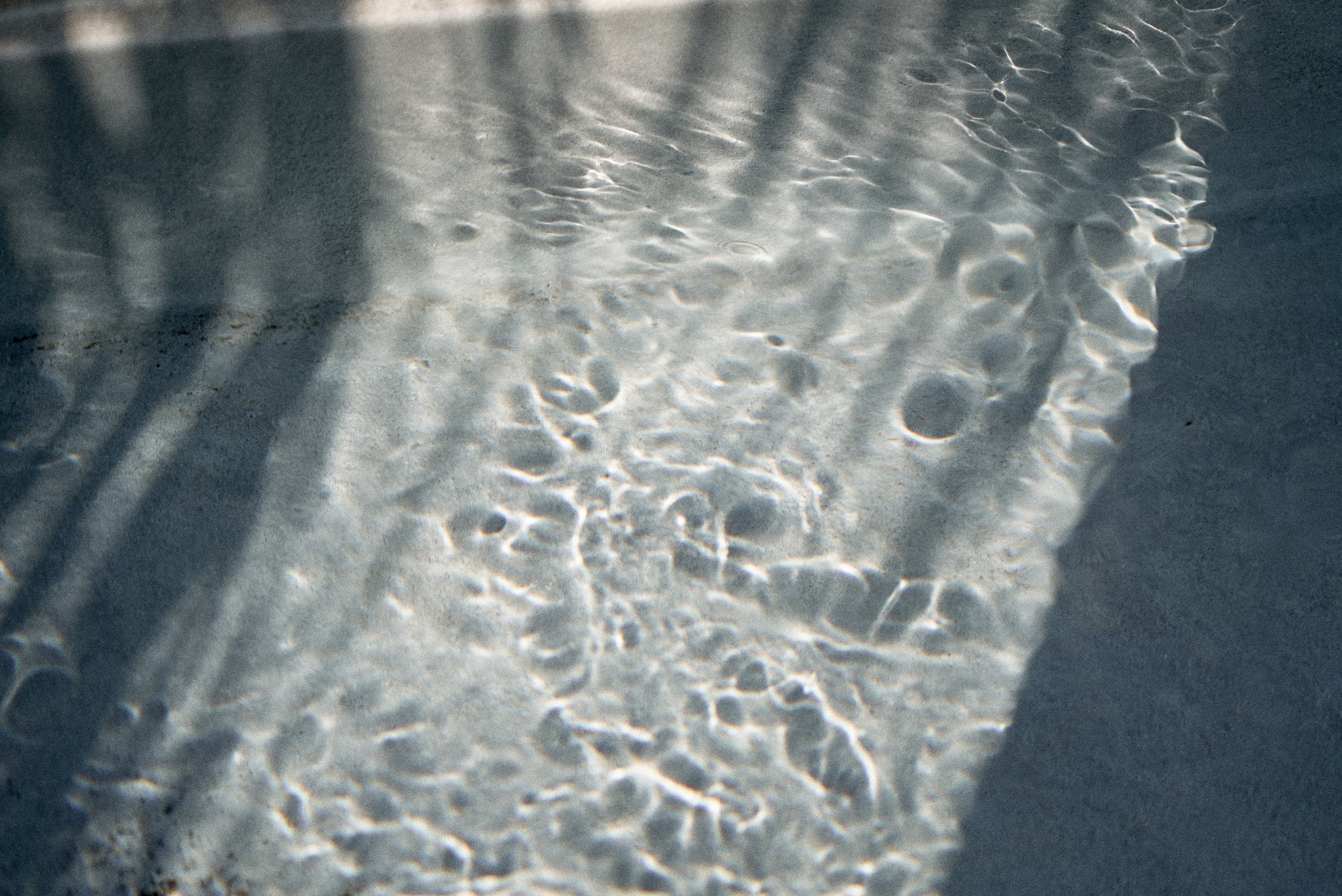 DSC07110.jpg