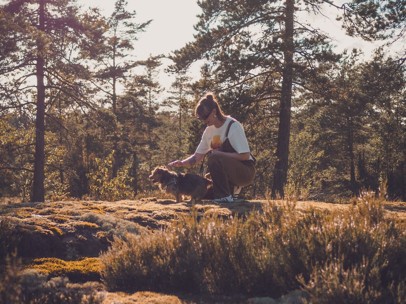 Vieras ja koira nauttimassa syksyisestä metsälomasta lemmikkiystävällisessä Hideaway Northissa Hilltop Forestissa Inkoossa.