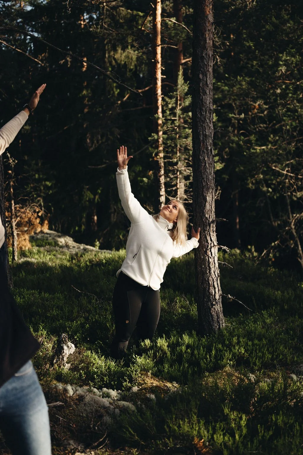 Meeting space & Team days near Helsinki | Hilltop Forest | Inkoo, Finland