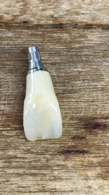 WhatsApp Image 2023-01-11 at 12.01.28 PM (1).jpeg