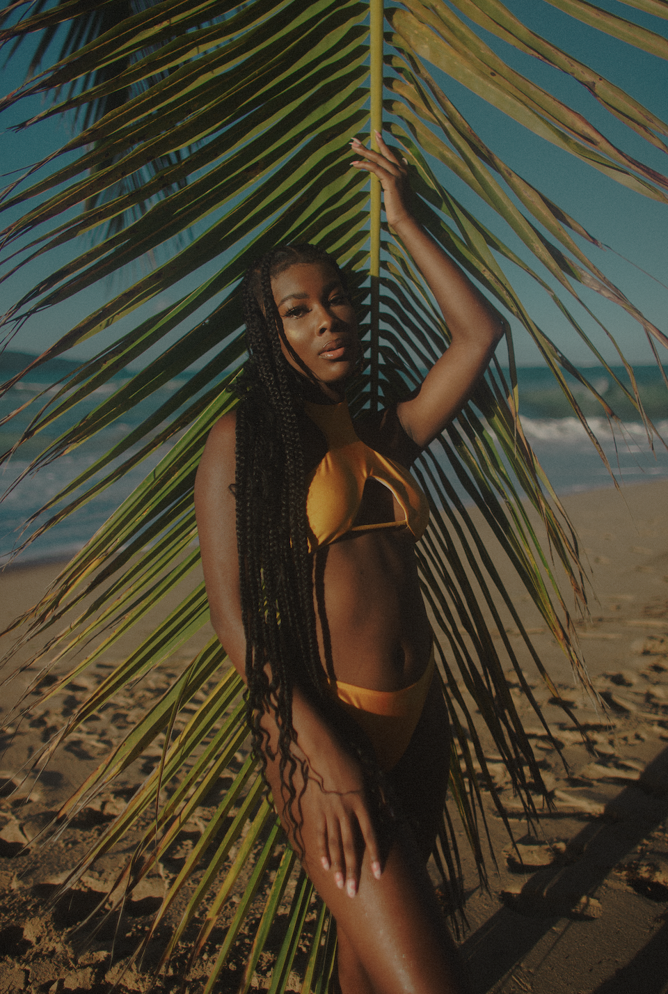 Screen Shot 2022-12-26 at 9.46.50 PM.png