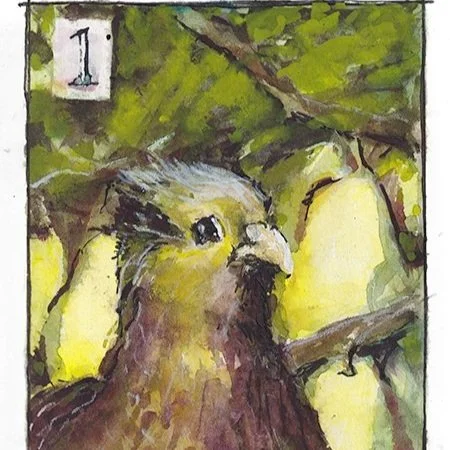 Partridge - Pear tree (5x7)