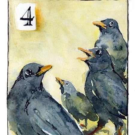 Black Birds - Colly Birds (5x7)