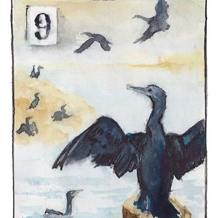 Cormorants - Dancing (5x7)