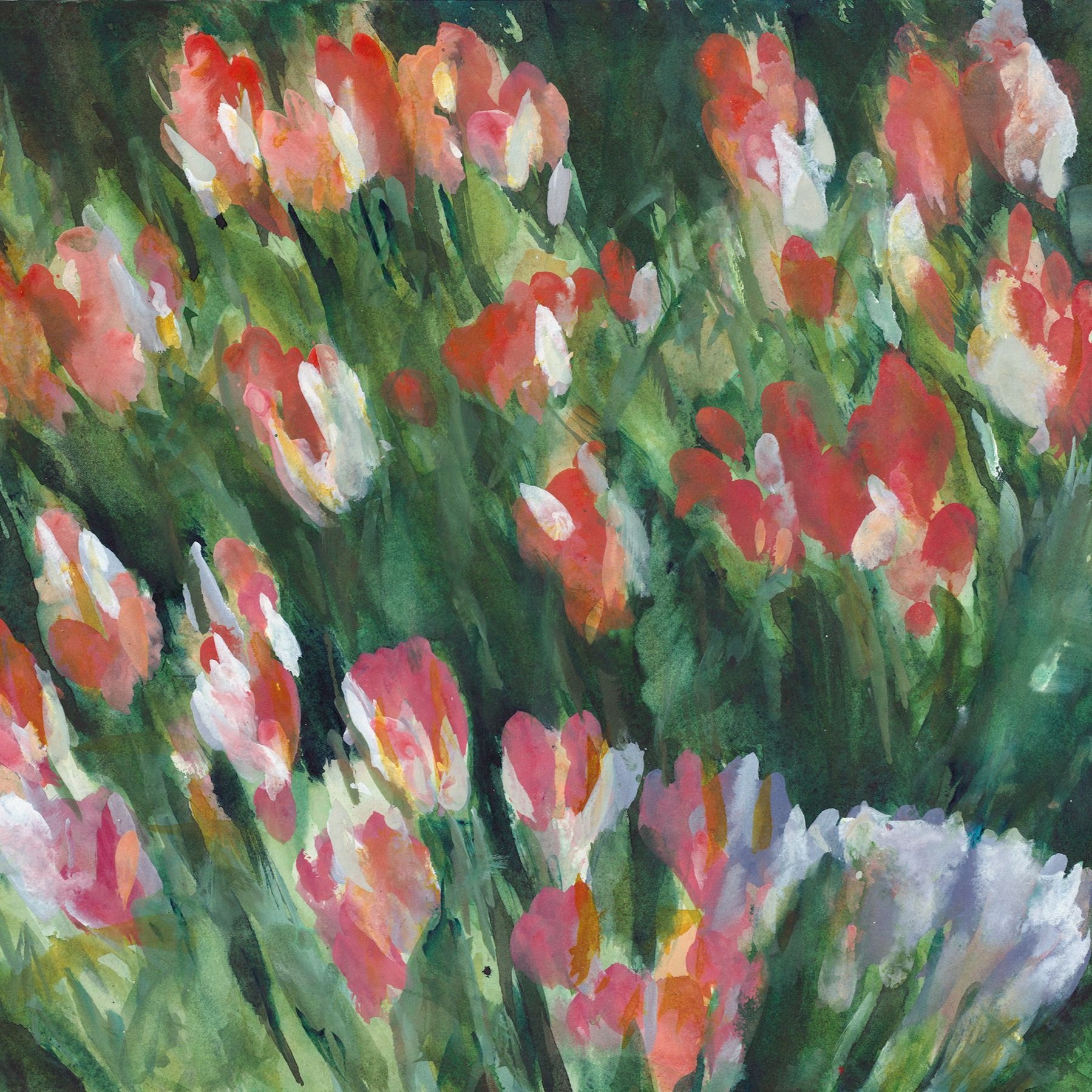 Tulips (16x20)