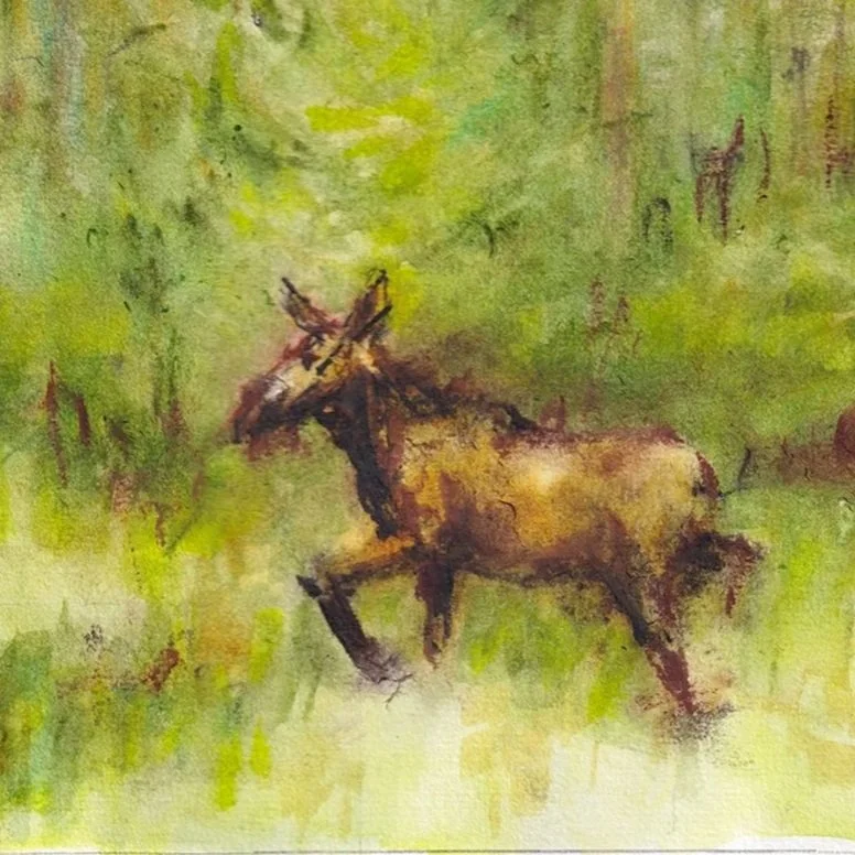 Moose (9x12)
