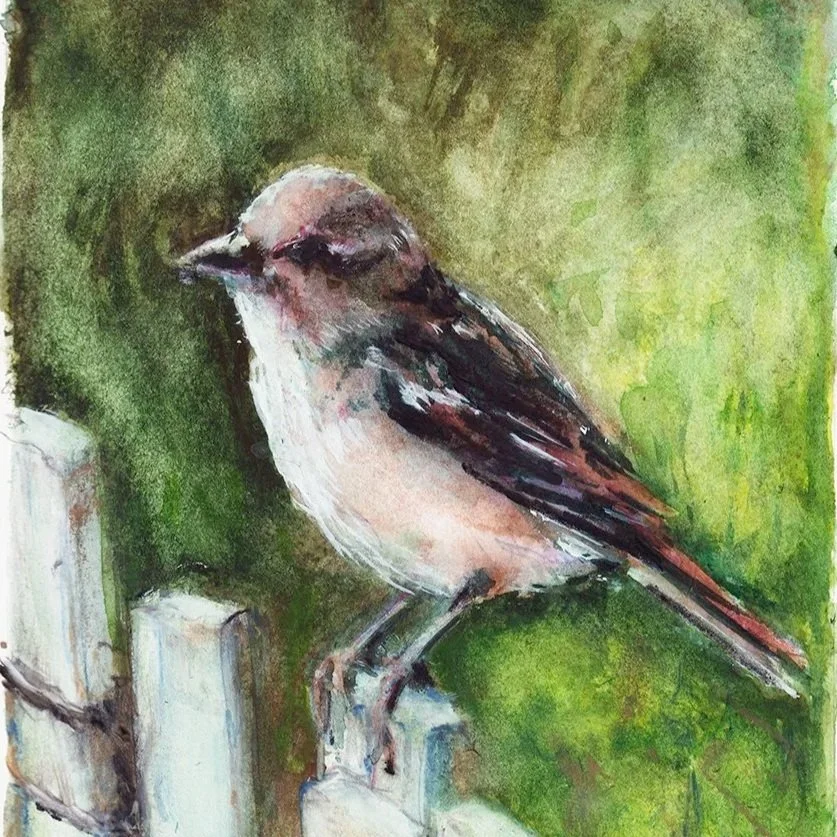 Sparrow (9x12)