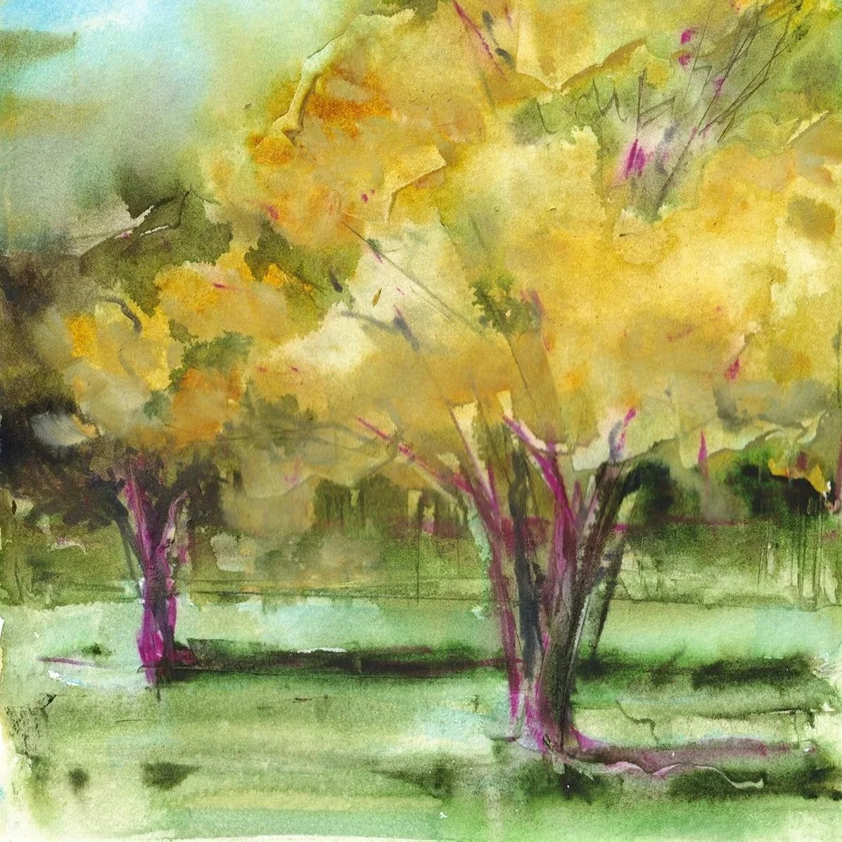 Maple (9x12)