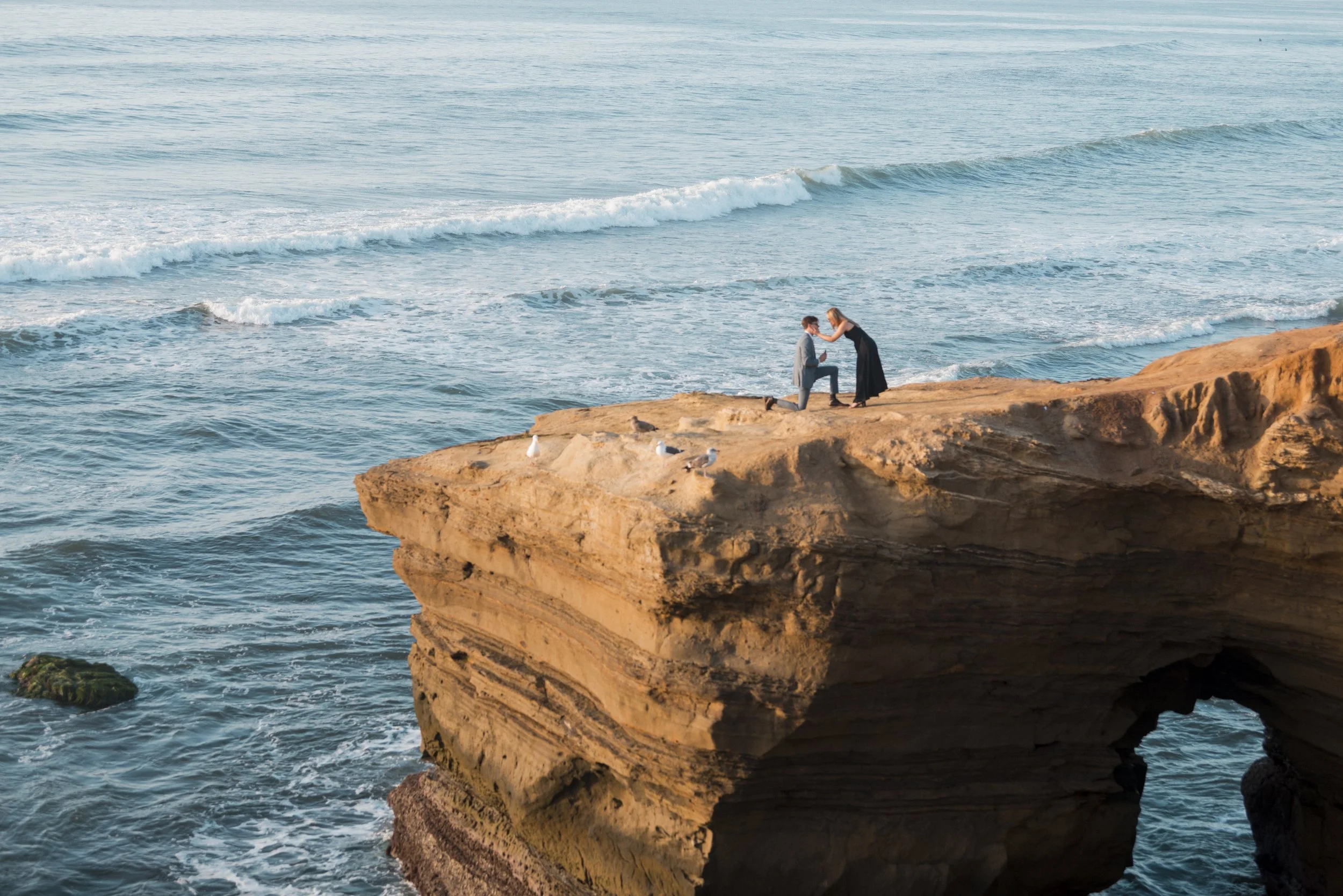 A man kneeling on a rocky cliff proposing to a woman by the ocean, with waves crashing below and seagulls on the rocks.