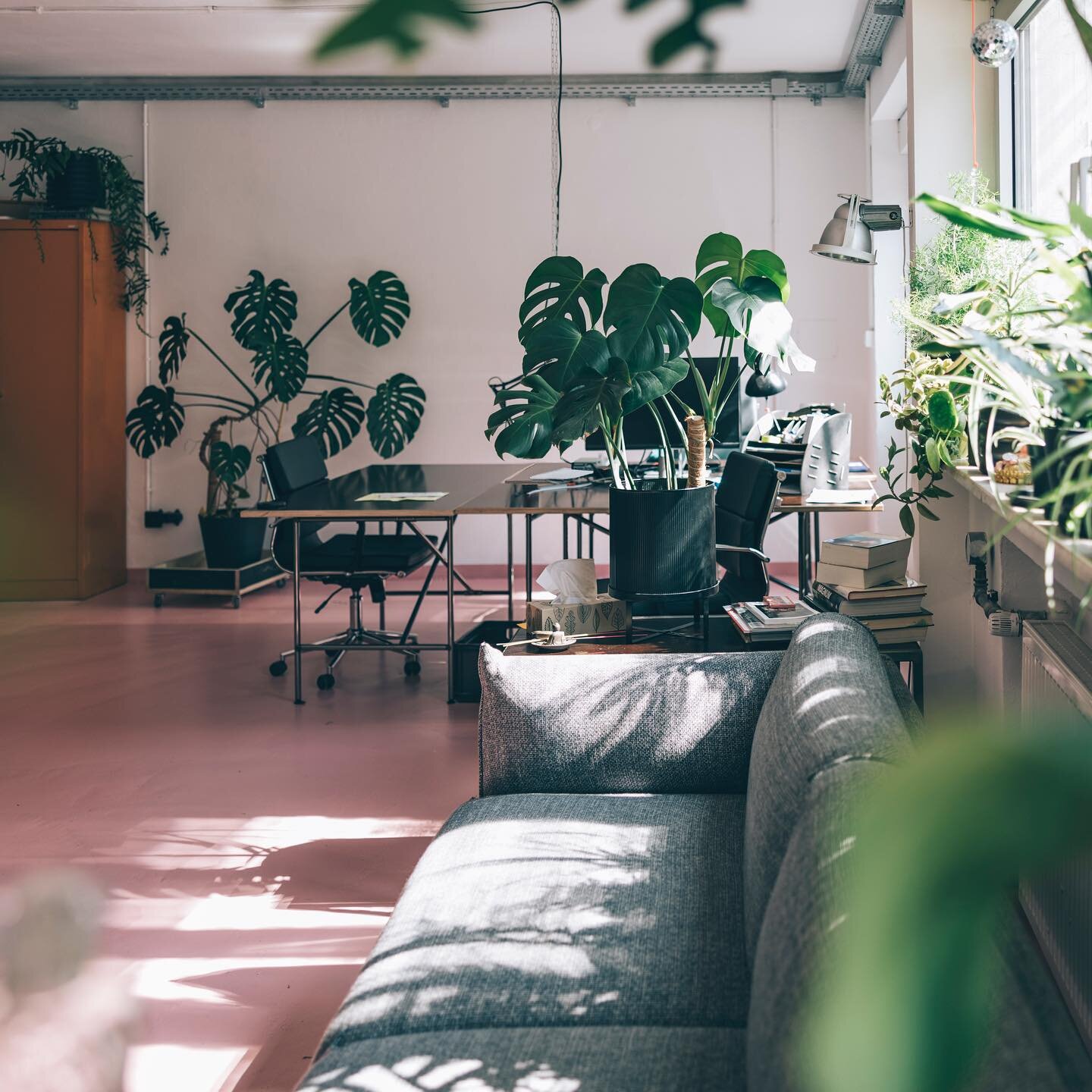 Am sch&ouml;nsten ist es bei uns, wenn die Sonne reinscheint! Aktuell haben wir zwei Schreibtische frei. Come work with us! #coworking #coworkinggermany #coworkingspace #coworkingmannheim #mannheim #schreibtischfrei