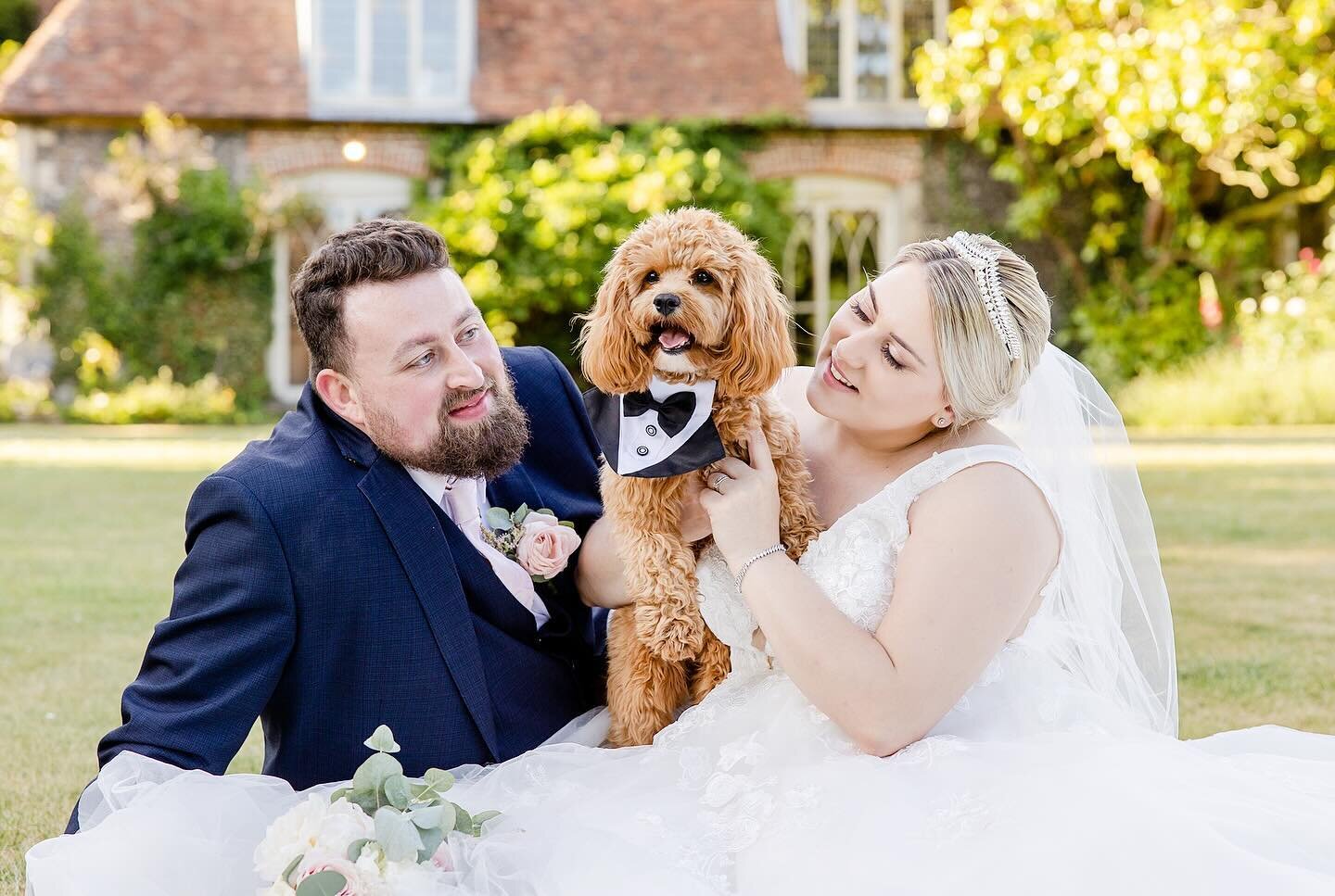 Dexter steals the spotlight once more!

Thrilled to see his adorable photos showcased in @a_kentish_ceremony magazine&rsquo;s &rsquo;Ask The Experts&rsquo; feature, where @herecomesthehound shares insights on planning your pet into your wedding celeb