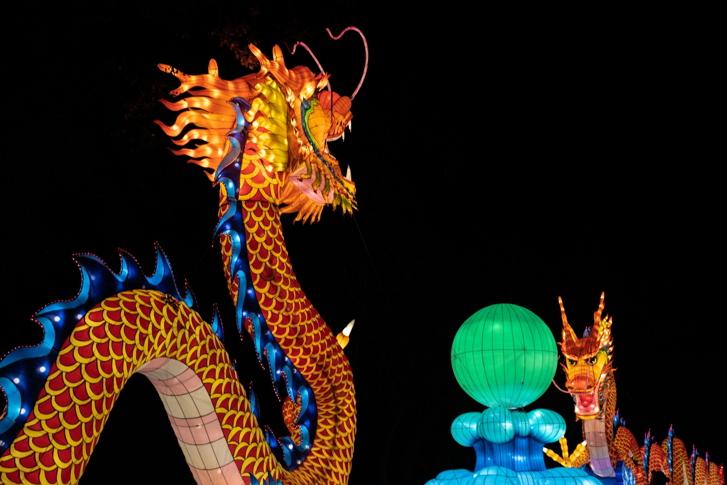 Gloucestershire Region Chinese New Year Lunch
