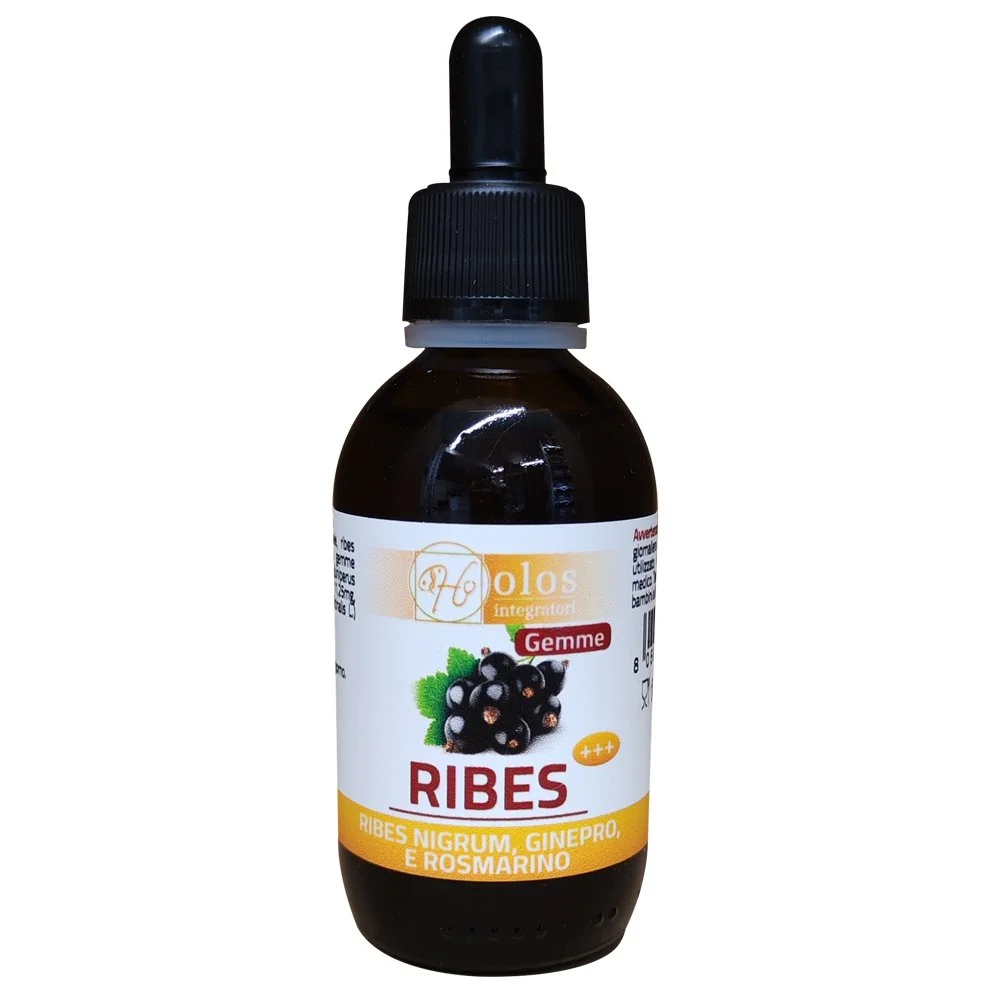 RIBES-NIGRUM+++-holos-medica.jpg