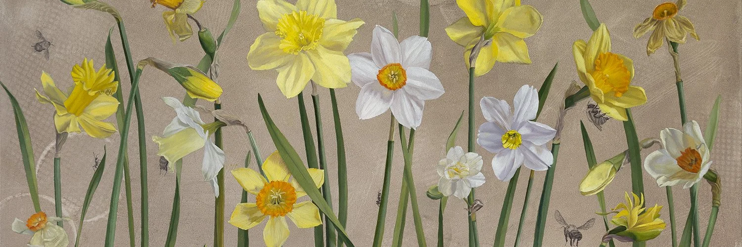 cropped view of a floral oil painting of multiple varieties of white and yellow daffodils. Ants and bees are drawn in graphite and tucked amongst the flowers.