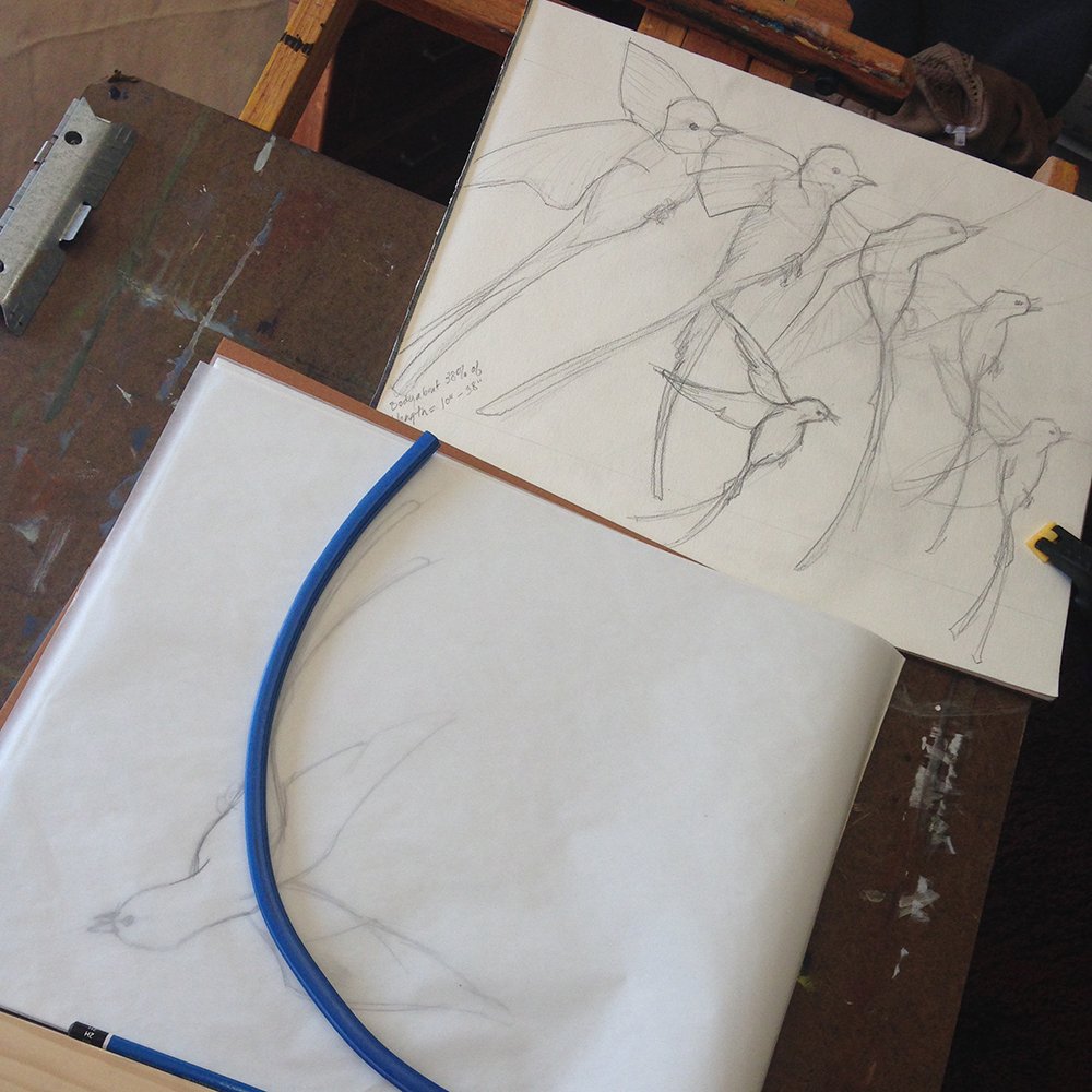 Sketches of birds on paper and a blue flexible curve drawing tool on a wooden workbench.