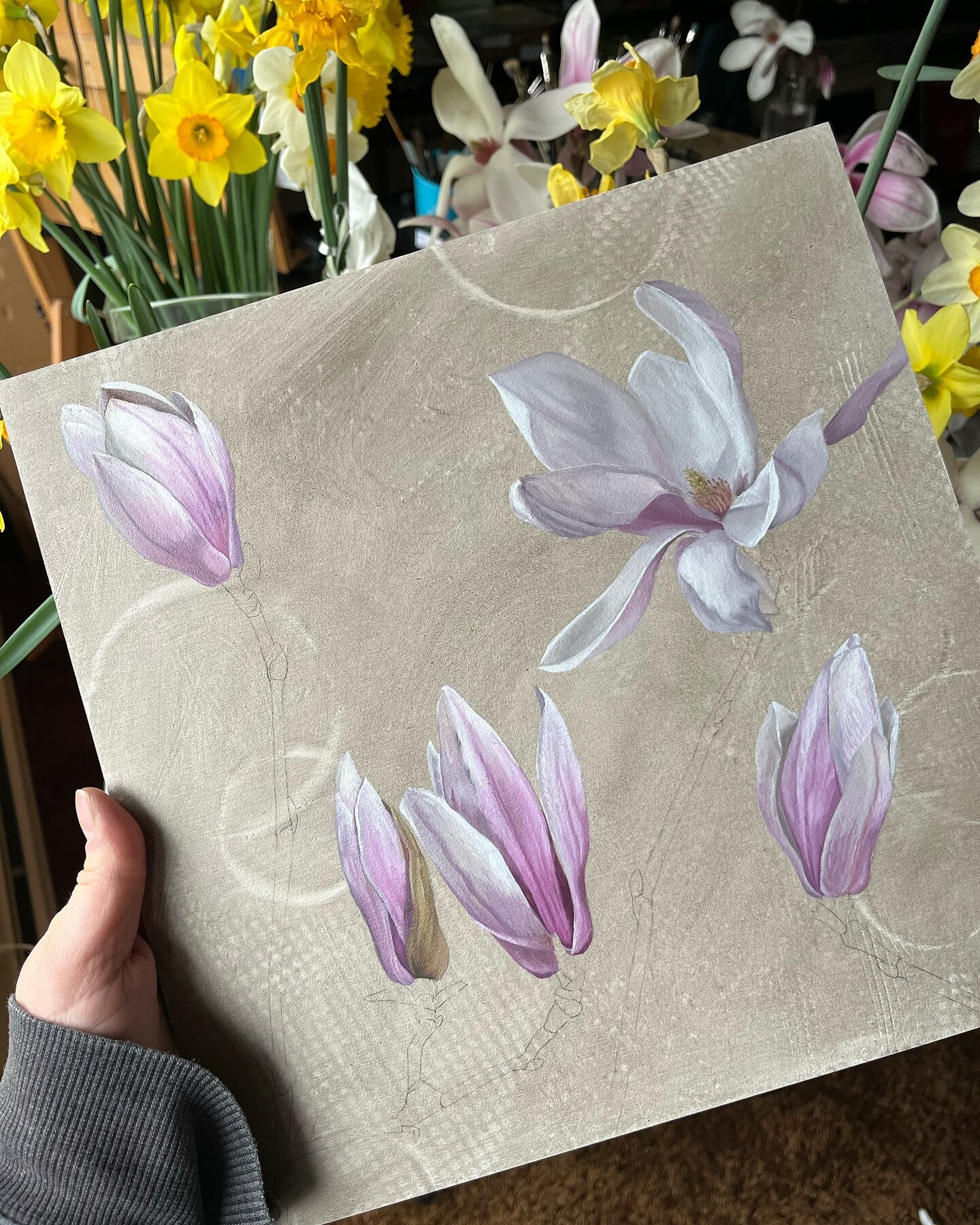 Why can&rsquo;t magnolia trees bloom longer? Right?!?

Their scent is heavenly and they&rsquo;re so beautiful. Hard to choose between painting them or daffodils.

So I chose both and it&rsquo;s brutal trying to work fast enough to capture them both f
