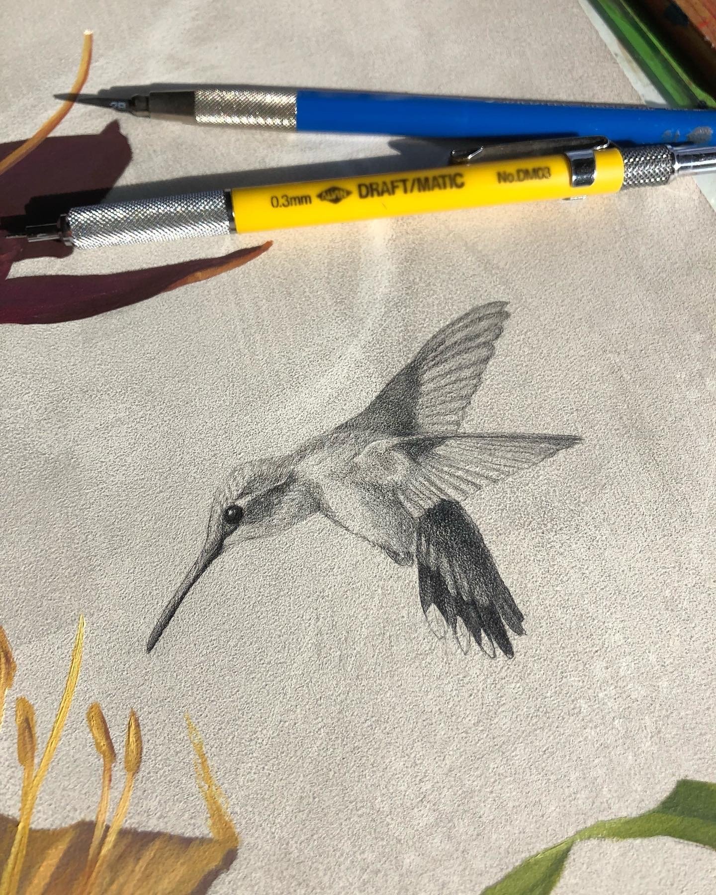 Drawing pollinators and other insects onto the panel is incredibly meditative.

While the graphite goes on smoothly, erasing is nearly impossible. It smears and because I use a very small HB lead (.3 mm), it embeds a bit into the ground. So I plan ou